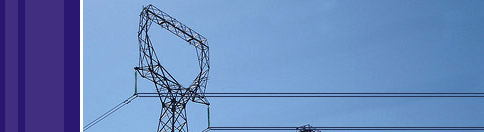 Busbar Boots, Dip Moulded Componants, Cable Breakouts, India